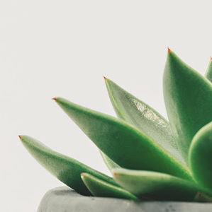 Meet your Posher, Marvin